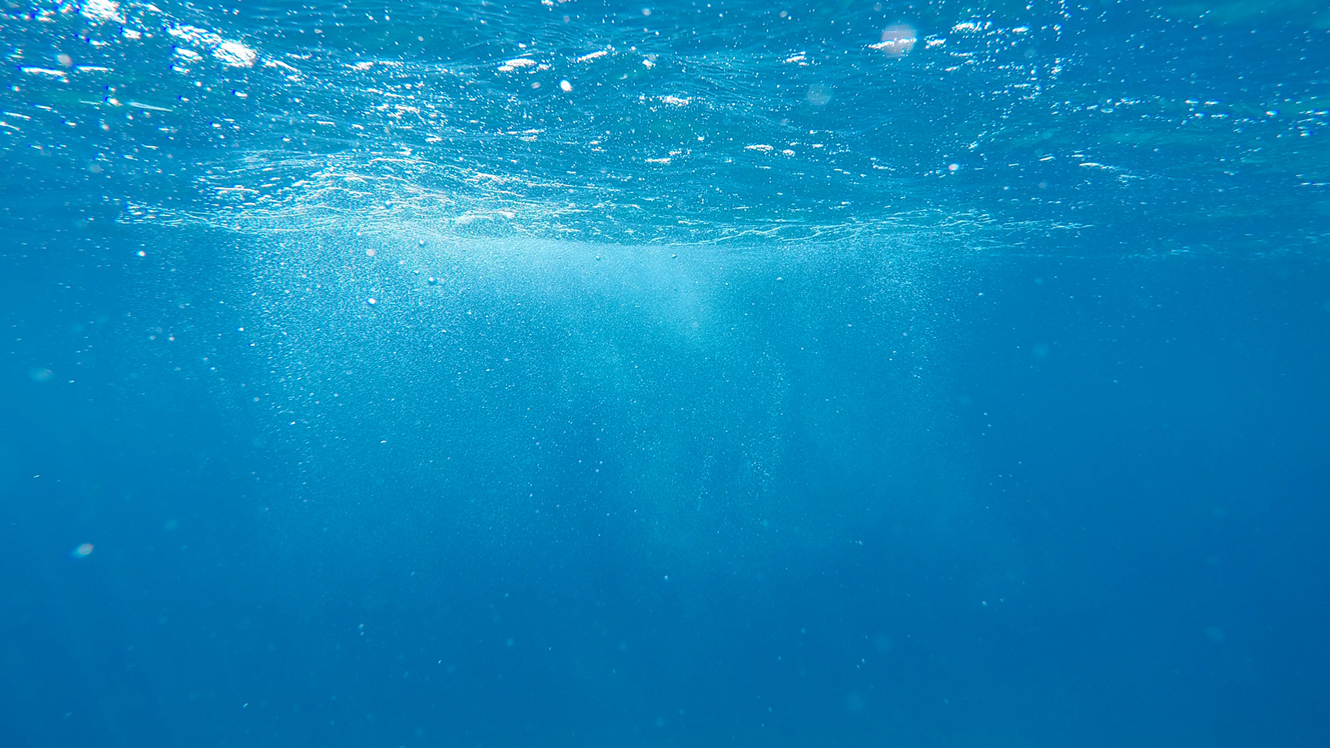 Baptism & Membership at King's Church