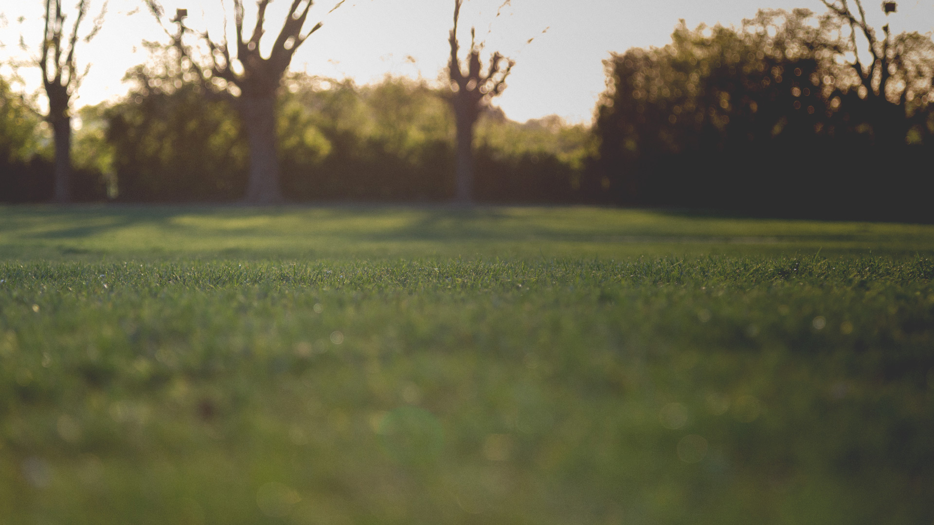 Mission and Beliefs at King's Church